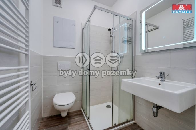 Pronájem, Byt 2+kk, Zbůch