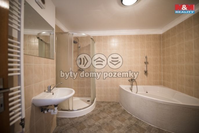 Pronájem, Byt 3+1, Nechanice