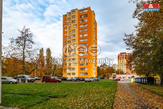 Prodej, Byt 2+1, Tachov