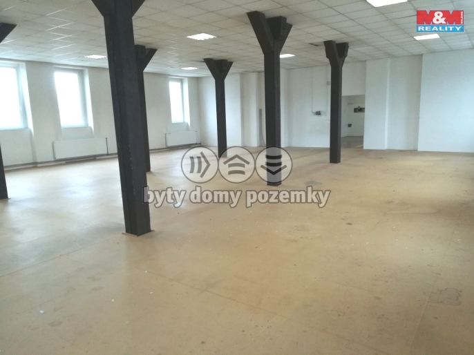 Pronájem, Ostatní, Strančice