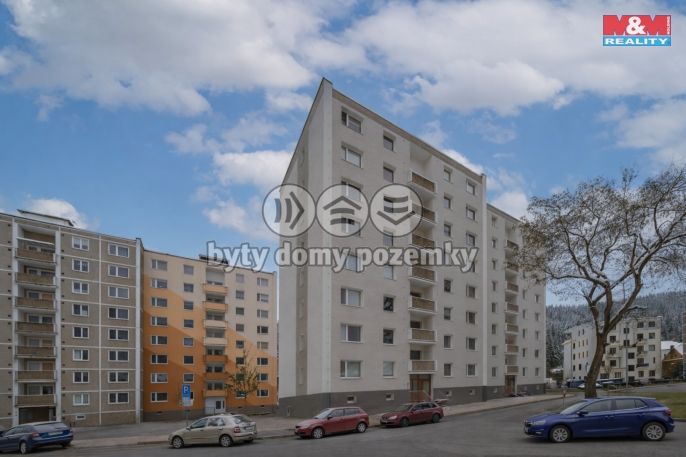 Prodej, Byt 2+1, Kraslice