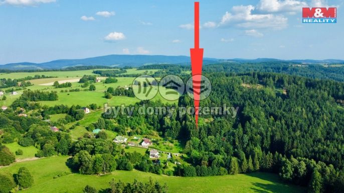 Prodej, Zahrada, Borová