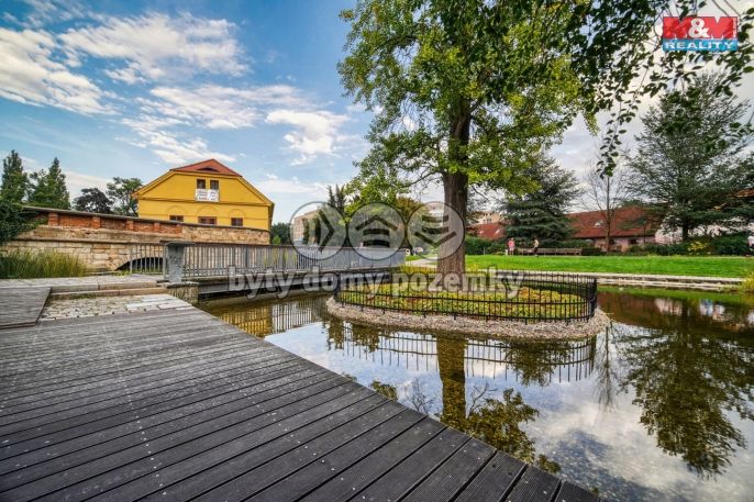 Pronájem, Obchod a služby, Plzeň