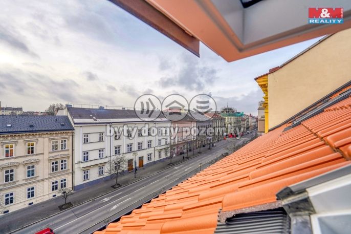 Pronájem, Byt 1+1, Plzeň