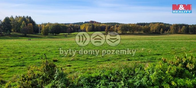 Prodej, Zahrada, Cvikov