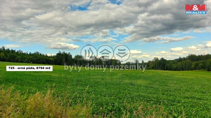 Prodej, Les, Štoky
