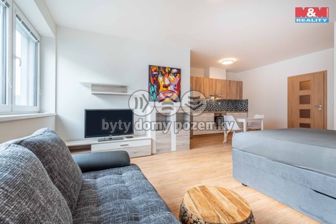 Pronájem, Byt 1+kk, Plzeň