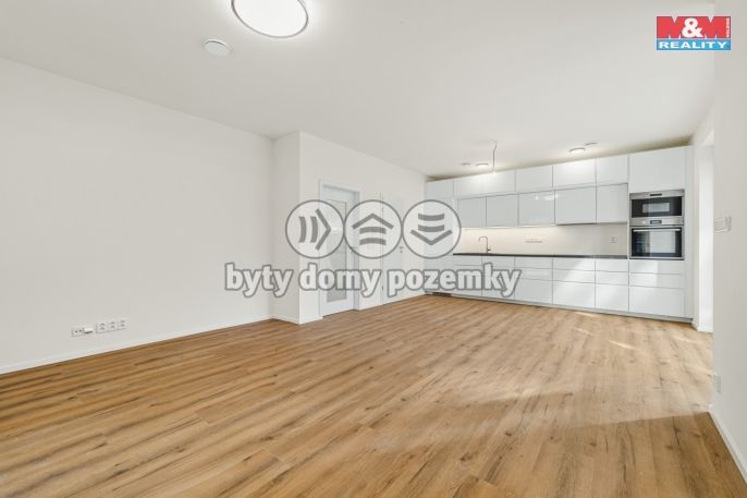 Pronájem, Rodinný dům, Kluky