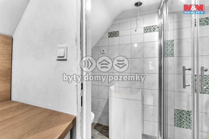 Prodej, Hotel, penzion, Rokytnice nad Jizerou