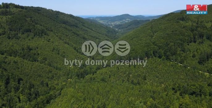 Prodej, Les, Nýdek