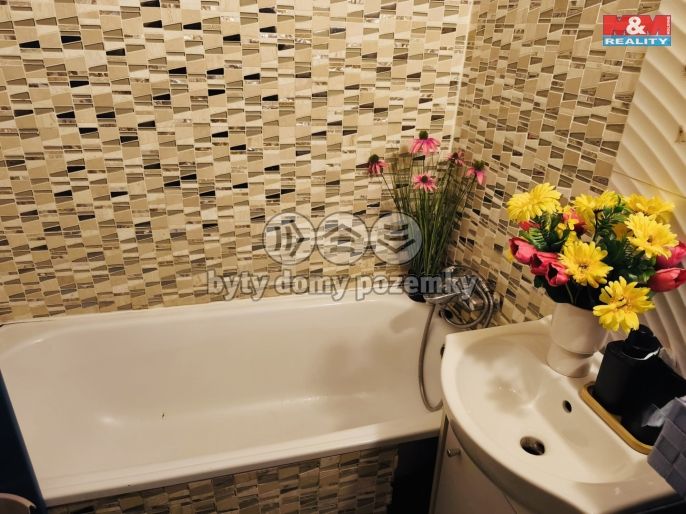 Prodej, Byt 2+1, Karviná