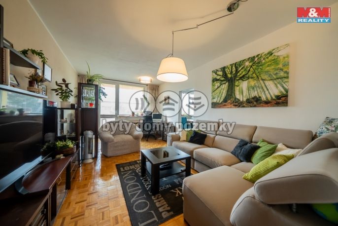 Prodej, Byt 3+1, Blansko