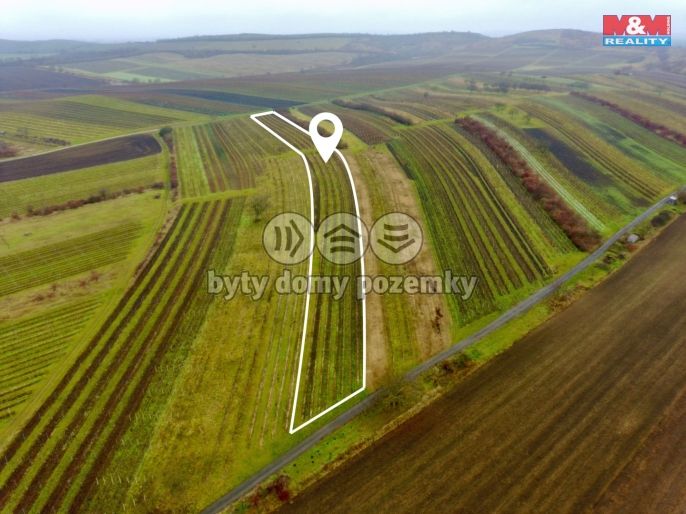 Prodej, Vinice, Dolní Dunajovice