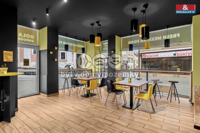 Prodej, Nájemní dům, Kladno