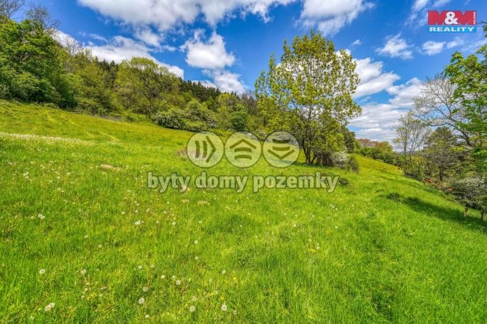 Prodej, Zahrada, Sušice