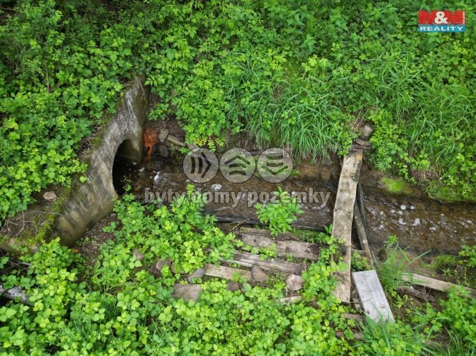 Prodej, Vodní plocha, Vílanec