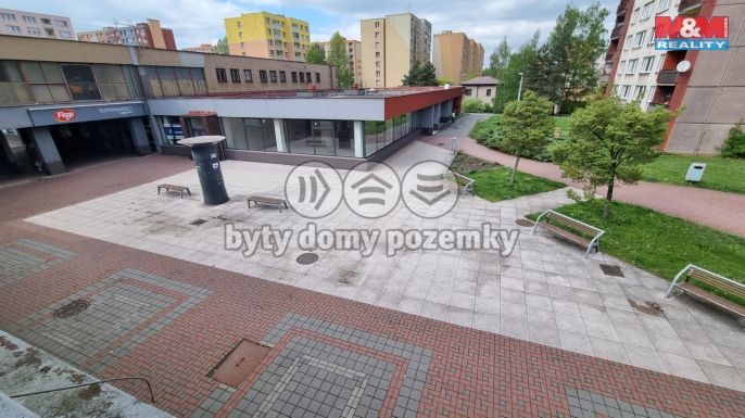 Pronájem, Obchod a služby, Český Těšín