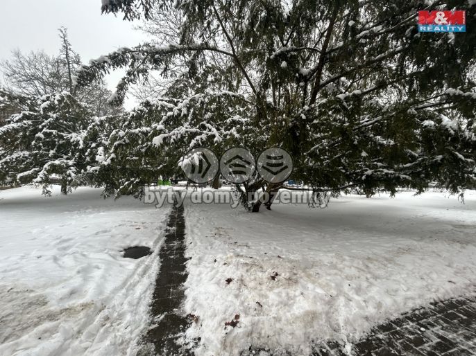 Pronájem, Byt 2+1, Ústí nad Labem