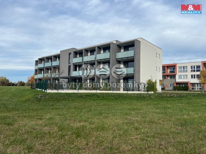 Pronájem, Byt 1+kk, Třeboň