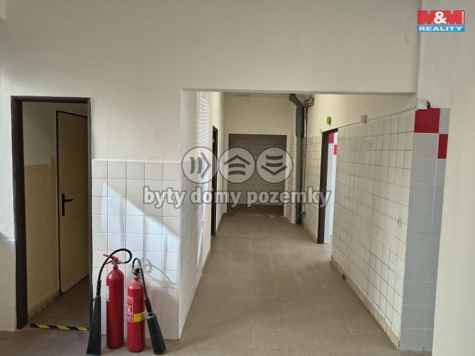 Pronájem, Obchod a služby, Vlašim