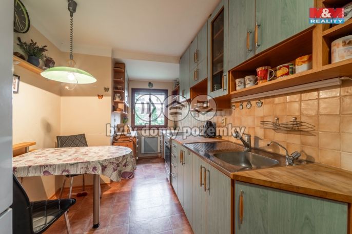 Prodej, Obchodní objekt, Bechyně