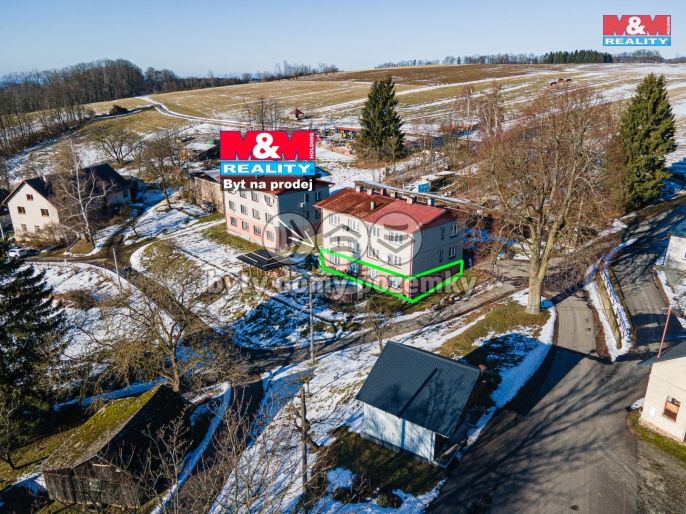 Prodej, Byt 3+1, Liberk