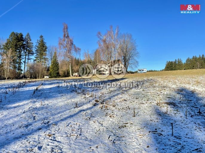 Prodej, Rodinný dům, Nový Rychnov