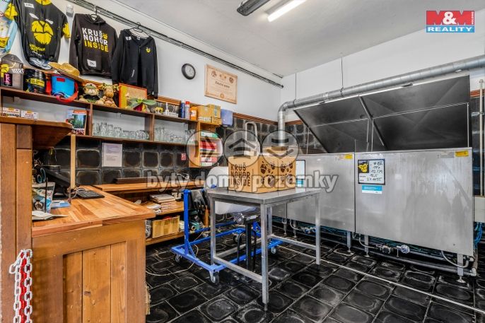 Prodej, Obchodní objekt, Kraslice