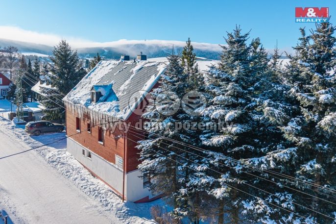 Prodej, Hotel, penzion, Loučná pod Klínovcem