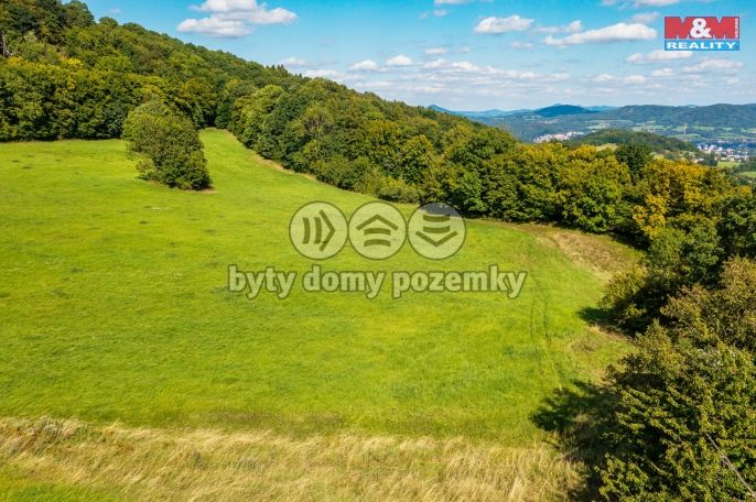Prodej, Louka, Děčín