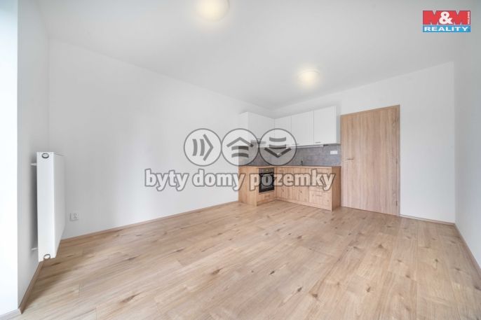 Prodej, Byt 1+kk, Třemošná