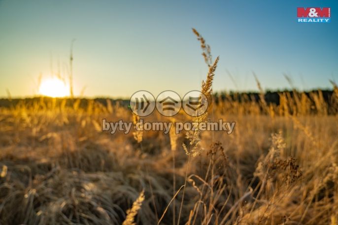 Prodej, Pozemek k bydlení, Nová Ves