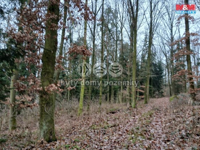 Prodej, Les, Krašlovice