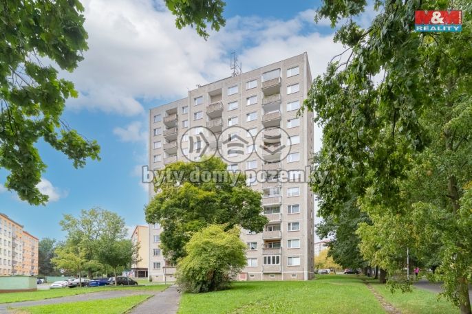 Prodej, Byt 1+kk, Cheb