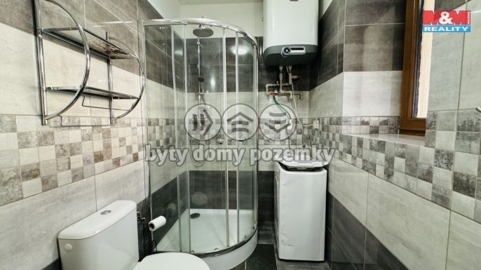 Pronájem, Rodinný dům, Libín