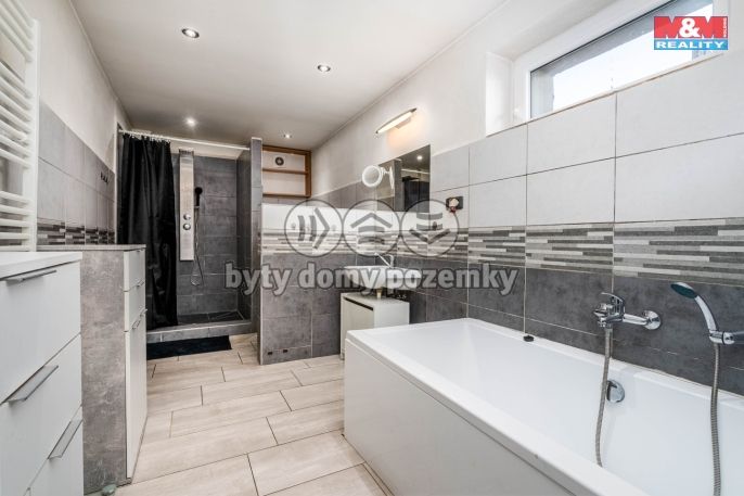 Prodej, Rodinný dům, Sány