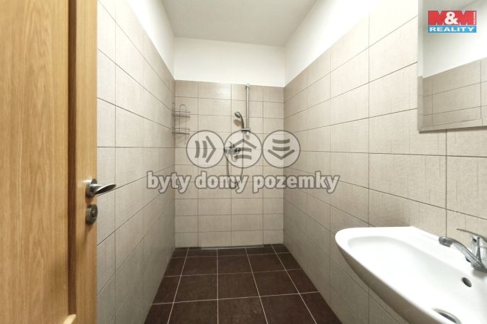 Pronájem, Obchod a služby, Mladá Boleslav