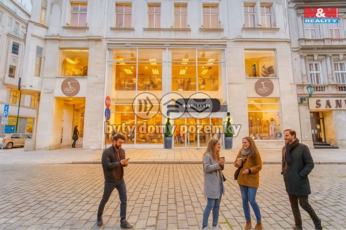 Pronájem, Restaurace, stravování, Plzeň