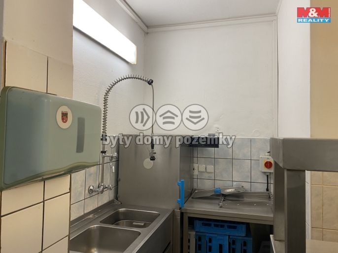 Pronájem, Obchod a služby, Opočno