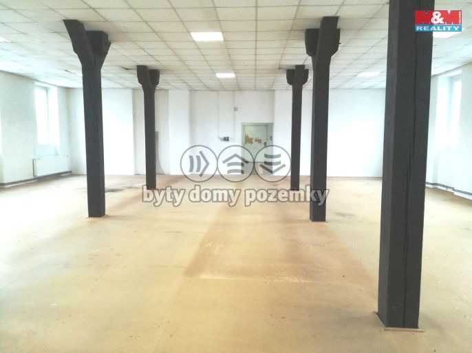 Pronájem, Ostatní, Strančice