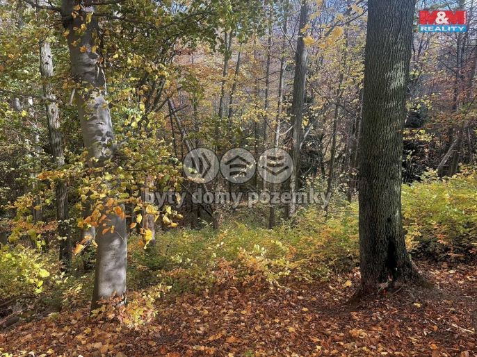 Prodej, Les, Řepníky