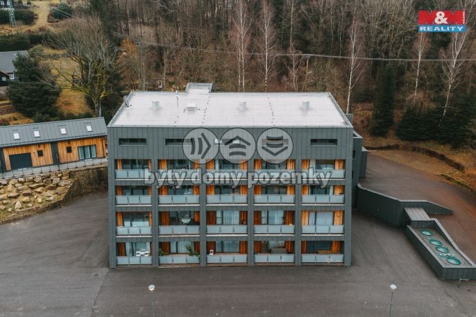 Prodej, Byt 1+kk, Janov nad Nisou