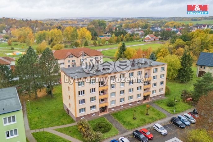 Pronájem, Byt 2+1, Planá