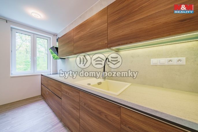 Pronájem, Byt 3+kk, Cheb