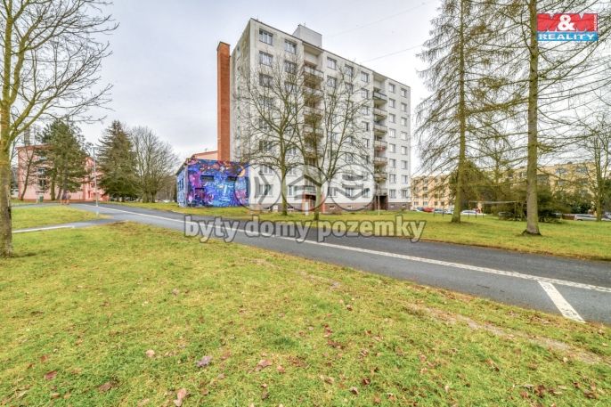 Prodej, Byt 2+1, Planá