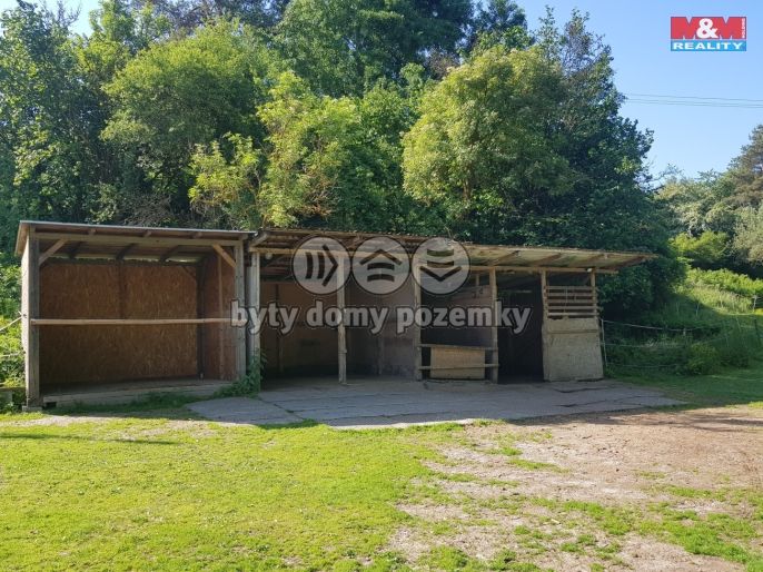 Pronájem, Pastvina, Kaznějov