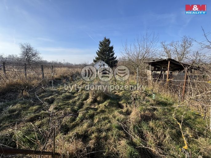 Prodej, Chata, Hrušovany u Brna