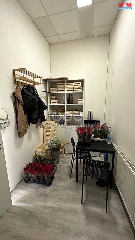 Pronájem, Obchod a služby, Brno