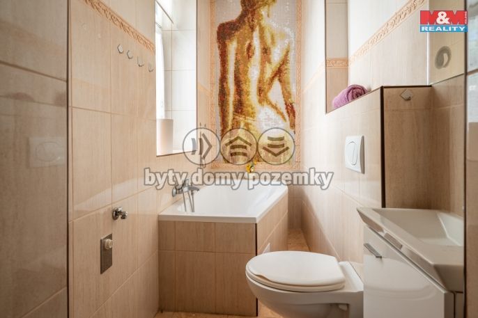Prodej, Rodinný dům, Písek