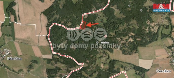 Prodej, Les, Černíkov